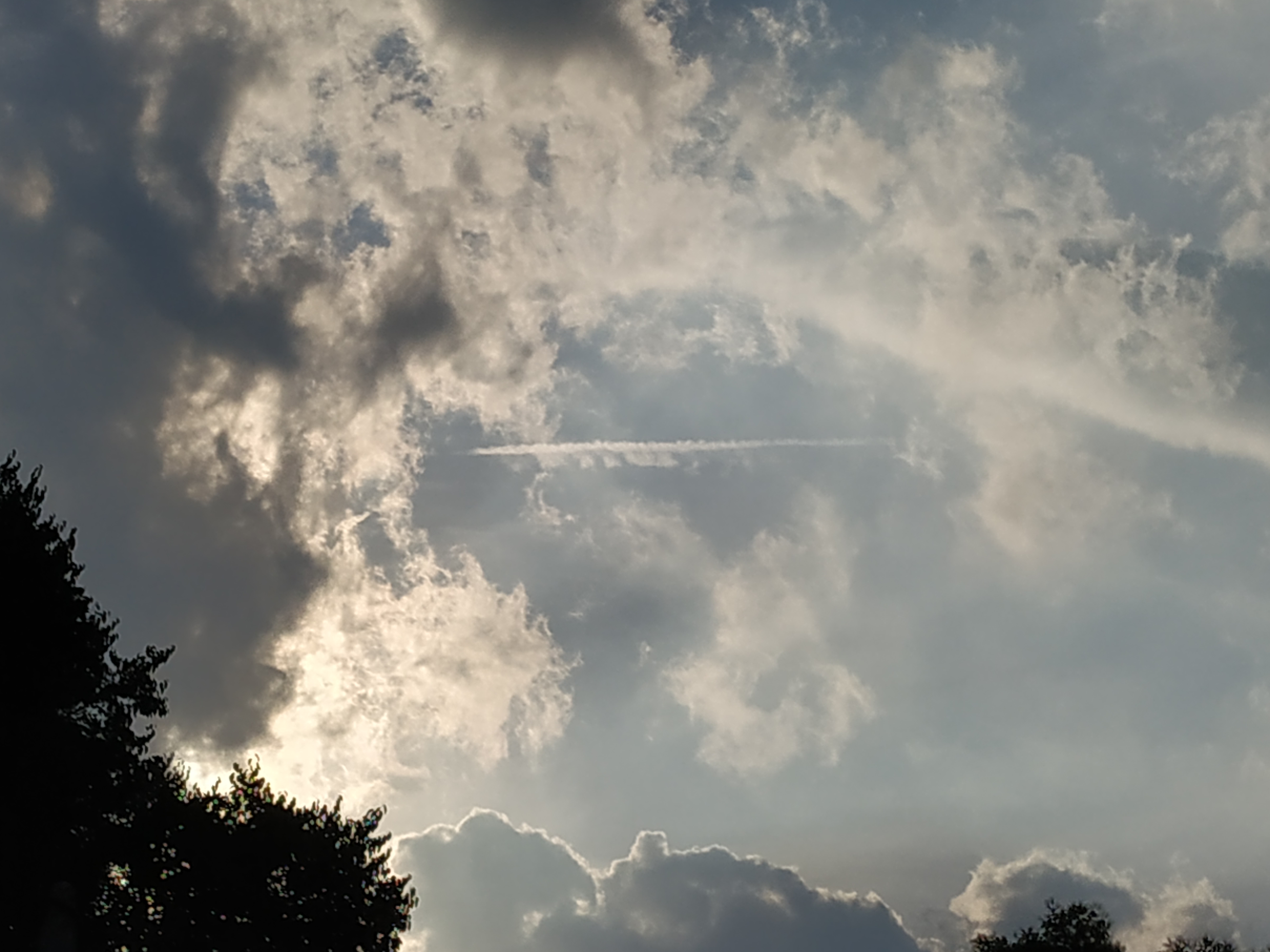 Free Blogging Advice: Migrate blog outside US