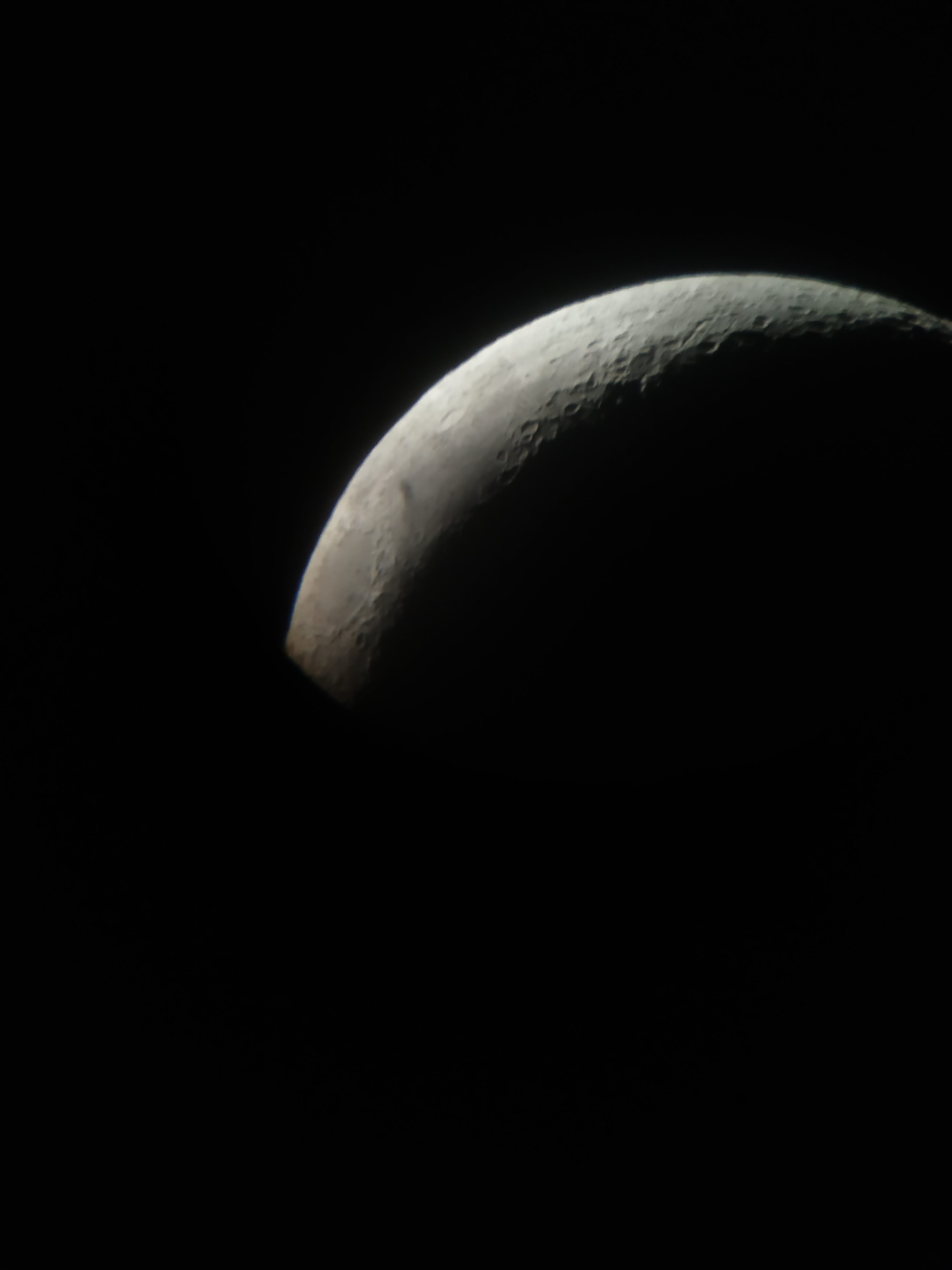 The jasmine… [Can you remember? This was the last day of your life…]